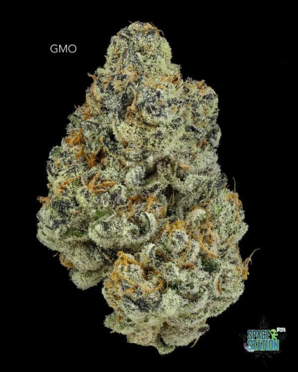 TWISTED LEAF GARDENS - GMO - AAAA+