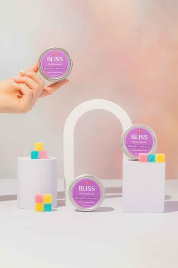 BLISSTROPASSORTED2 (1) BLISS - TROPICAL ASSORTED - PREMIUM INFUSED GUMMIES - 250MG THC