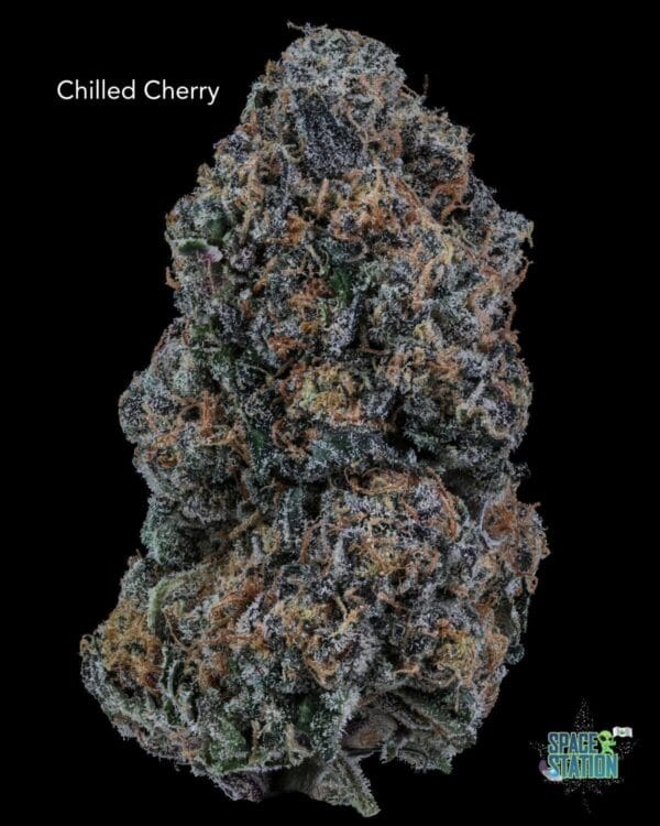 3.5GRAMS  - CHILLED CHERRIES - AAA+