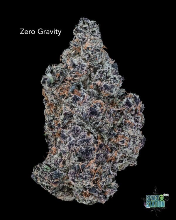 ZERO GRAVITY - AAAA+