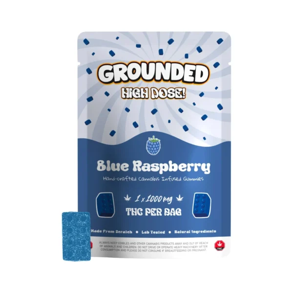 GROUNDEDBLUERASP GROUNDED - 1000MG HIGH DOSE BRICKS - BLUE RASPBERRY