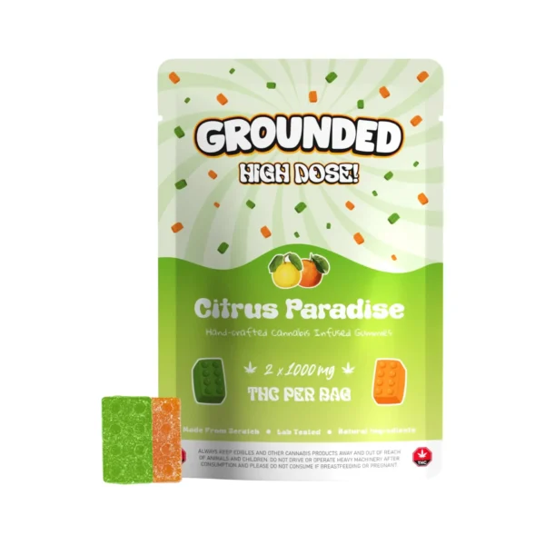 groundedcitrusparadise GROUNDED - 2000MG HIGH DOSE BRICKS - citrus paradise