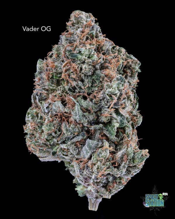 VADEROG13SHOTS VADER OG - AAAA+