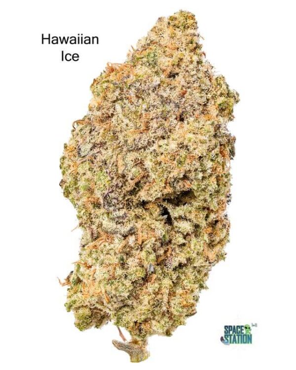 3.5GRAMS  - HAWAIIAN ICE - AAA+