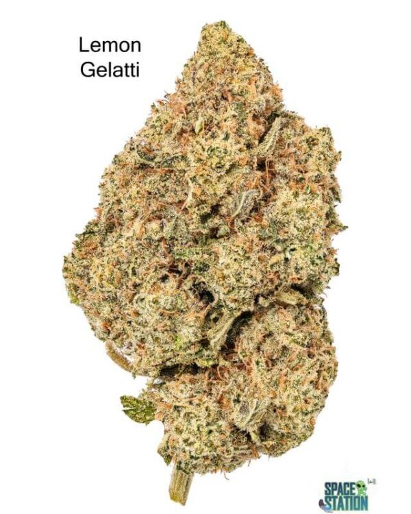 7GRAMS  - LEMON GELATTI - AAA