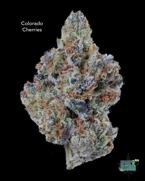 COLORADOCHERRIES13SHOTS DOPPLER - COLORADO CHERRIES - AAAA