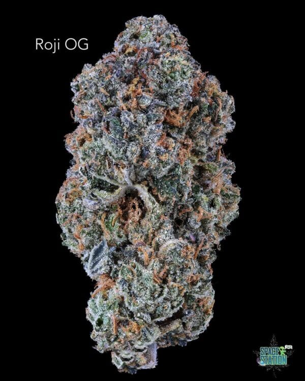 TERPY VIBES - ROJI OG - AAAA+