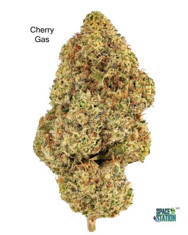 cherrygas13shots 7GRAMS - CHERRY GAS - AAA