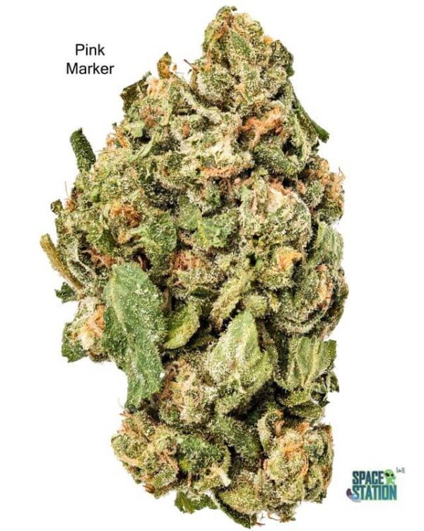 1 OUNCE  - 2 OUNCES 5 - PINK MARKER - AA+