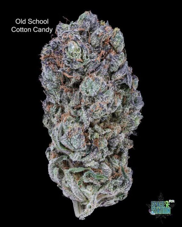 OLD SCHOOL COTTON CANDY - AAAA+