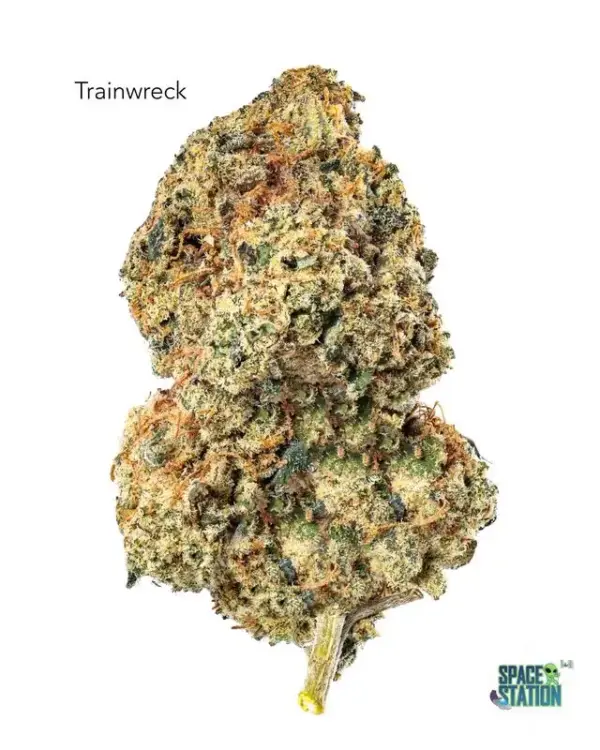 TRAINWRECK13SHOTS 7GRAMS - TRAINWRECK - AAA
