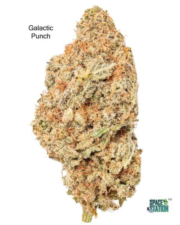 7GRAMS  - GALACTIC PUNCH - AAA