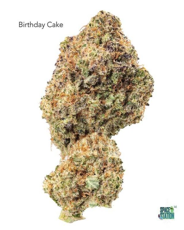 BIRTHDAYCAKE13SHOTS 7GRAMS - BIRTHDAY CAKE - AAA