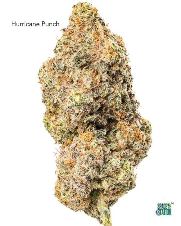 7GRAMS  - HURRICANE PUNCH - AAA