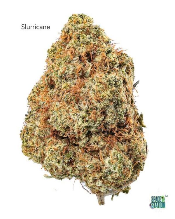 SLURRICANE13SHOTS 7GRAMS - SLURRICANE - AAA