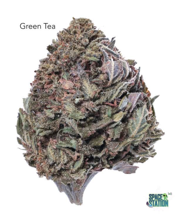 1 OUNCE  - GREEN TEA - A+