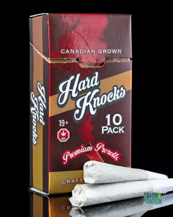 HARD KNOCKS - 10 PACK - PINK GHOST - AAAA
