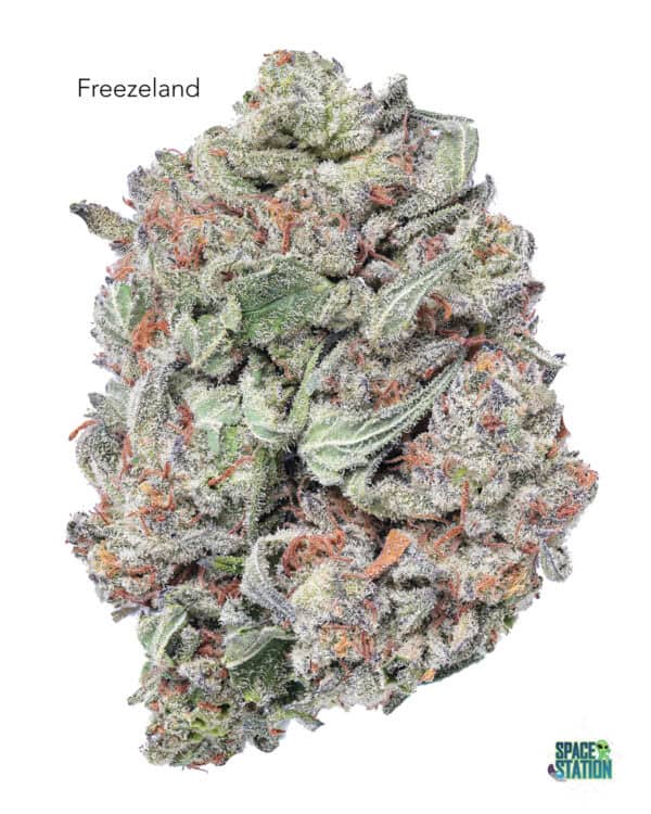 Stacked from 34 images. Method=B (R=8,S=4) 1 OUNCE - 2 OUNCES 0 - FREEZELAND - AA