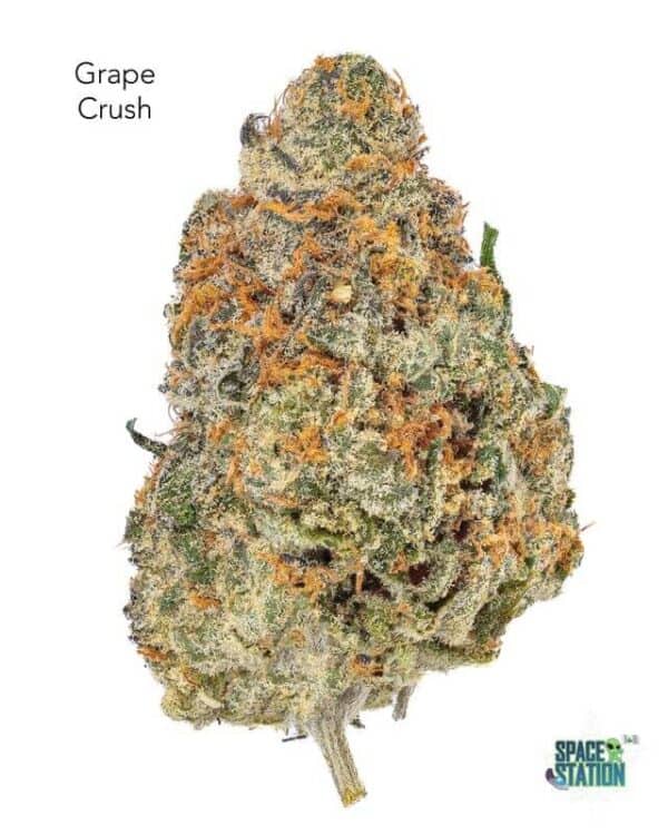 GRAPECRUSH13SHOTS 7GRAMS - GRAPE CRUSH - AAA
