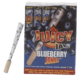 JUICY JAYS BLUEBERRY JONES CONES