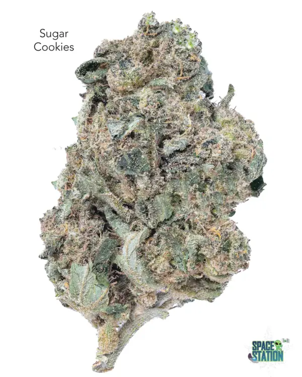 Sugar Cookies 1 OUNCE - 2 OUNCES 5 - SUGAR COOKIES - AA+