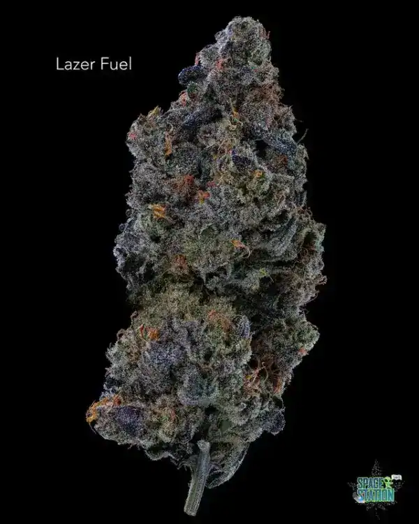 13shotslazerfuelpacificbudboys PACIFIC BUD BOYS - LAZER FUEL - AAAAA