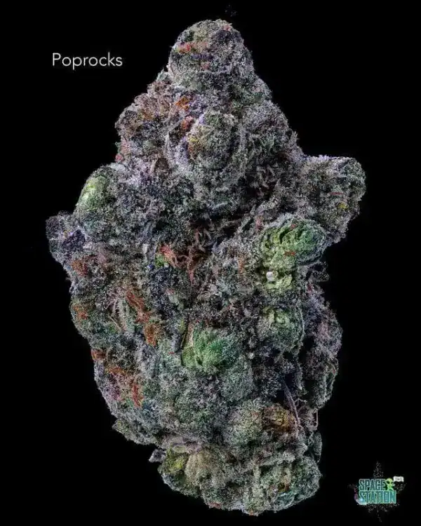 13shotspoprocks POP ROCKS (POP ROX) - AAA+