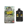 BURN6GRAMPINEAPPLEEXPRESSXGREENCRACK BURN LIFESTYLE CO - 6 GRAM DUAL CHAMBER DISPOSABLE VAPE - PINEAPPLE EXPRESS + GREEN CRACK