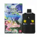 BURN6GRAMVAPEBLUEBERRYGUAVA BURN LIFESTYLE CO - 6 GRAM DUAL CHAMBER DISPOSABLE VAPE - BLUEBERRY X GUAVA