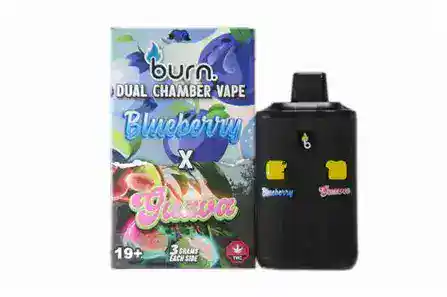 BURN6GRAMVAPEBLUEBERRYGUAVA BURN LIFESTYLE CO - 6 GRAM DUAL CHAMBER DISPOSABLE VAPE - BLUEBERRY X GUAVA