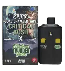 BURN6GRAMVAPECRITICALKUSHALASKAN-1 BURN LIFESTYLE CO - 6 GRAM DUAL CHAMBER DISPOSABLE VAPE - CRITICAL KUSH X ALASKAN THUNDERFUCK