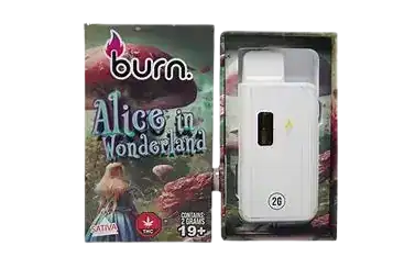 BURNLIFESTYLECOALICEINWONDERLAND BURN LIFESTYLE CO - 2 GRAM DISPOSABLE VAPE - ALICE IN WONDERLAND