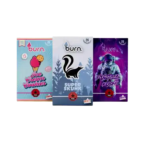 BURN LIFESTYLE CO - 2 GRAM DISPOSABLE VAPE - LILIAC DIESEL