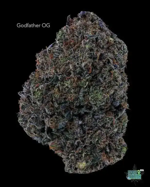 GASTRONAUT CANNABIS - GODFATHER OG