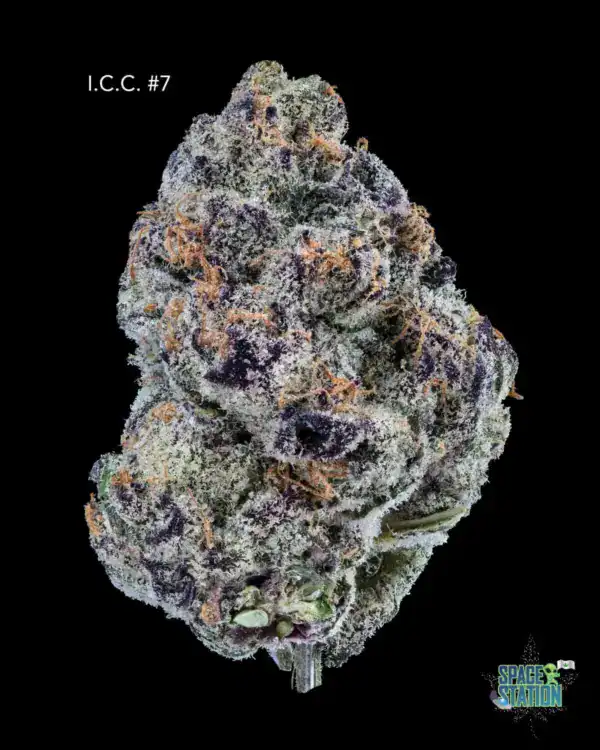 DOPPLER - ICE CREAM CAKE #7 - AAAA