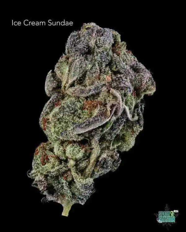 1 OUNCE  - 2 OUNCES 0 - ICE CREAM SUNDAE - AA