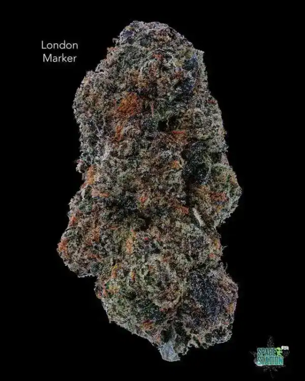 CE - LONDON MARKER - AAAA