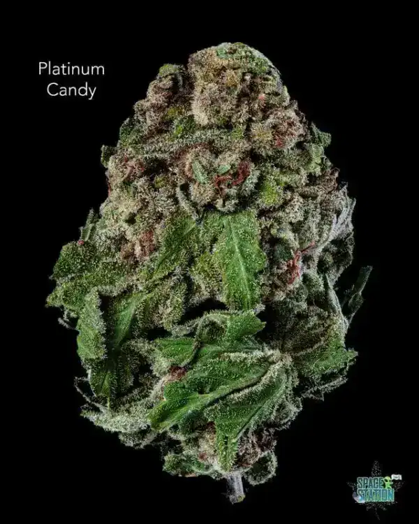 1 OUNCE  - 2 OUNCES 0 - PLATINUM CANDY - AA