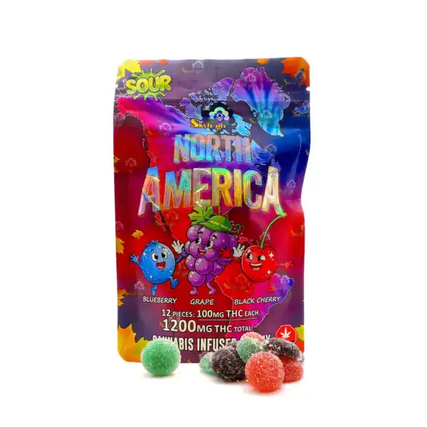 SKYHIGHNORTHAMERICA WORLD OF FLAVOR GUMMIES - SOUR NORTH AMERICA (SKY HIGH)