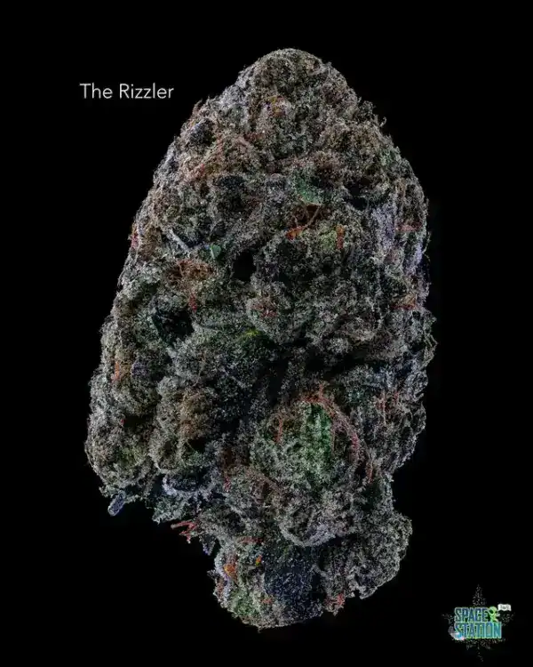 THE RIZZLER - AAAA+