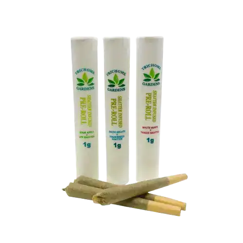 TRICHOMEGARDENSSHATTERPREOLLS TRICHOME GARDENS - SHATTER INFUSED PREROLLS (1 GRAM) - BACIO GELATO X TRAINWRECK SHATTER