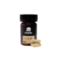 fantasycalm FANTASY PSYCHEDELICS - 4500MG MUSHROOM CAPSULES - GOLDEN TEACHER - CALM