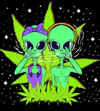 F8D5CE9E-09BD-4243-8975-DB7A2A11E2AF (1)