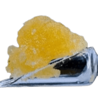 SKUNKFUNKMONSTERJAM-300x240-removebg-preview (1)