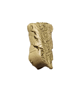 f02047b3-80d3-49d4-ae80-f25ca8a3a967-removebg-preview (1)